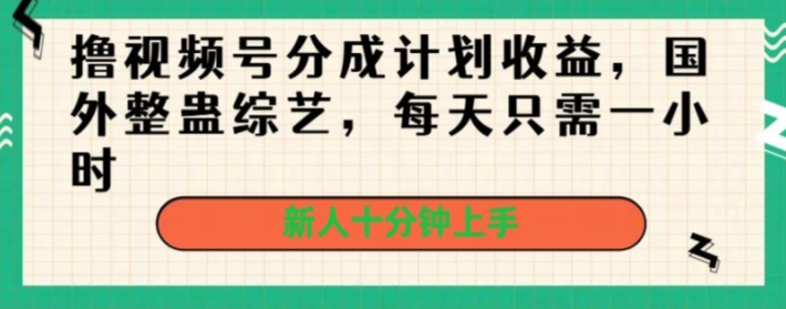 撸视频号分成计划收益，国外整蛊综艺，每天只需一小时，新人十分钟上手插图